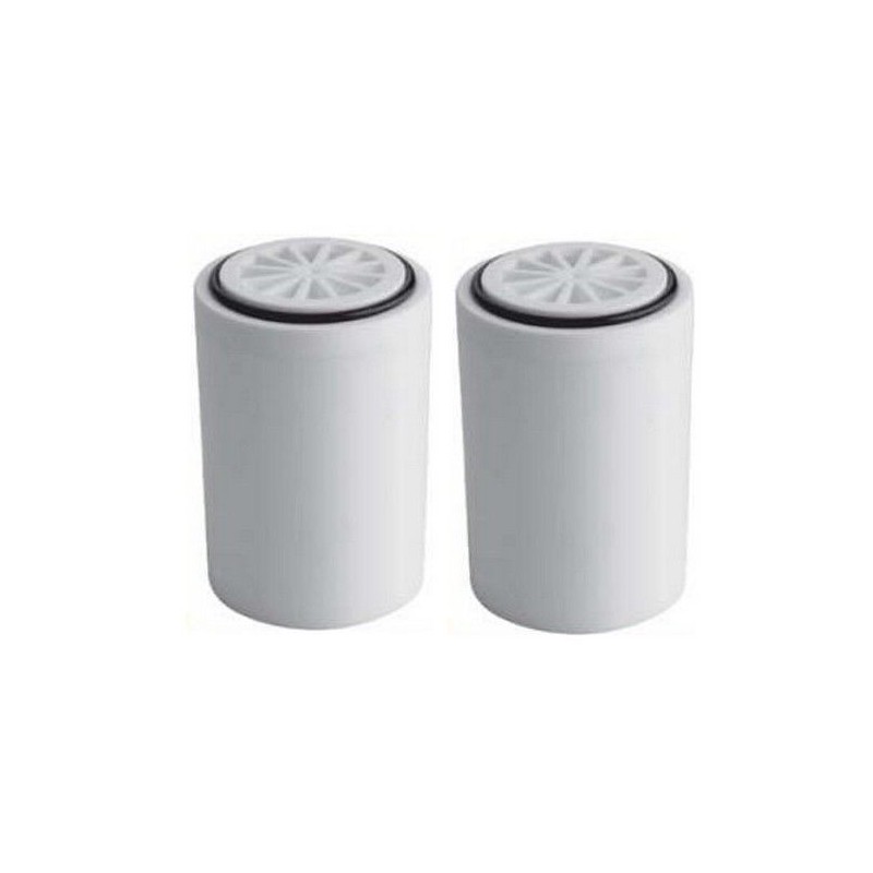 2 cartouches pour filtre de douche Aquapro ref : PR-MK 808C